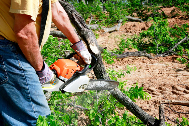 Leaf Removal in West Bend, WI